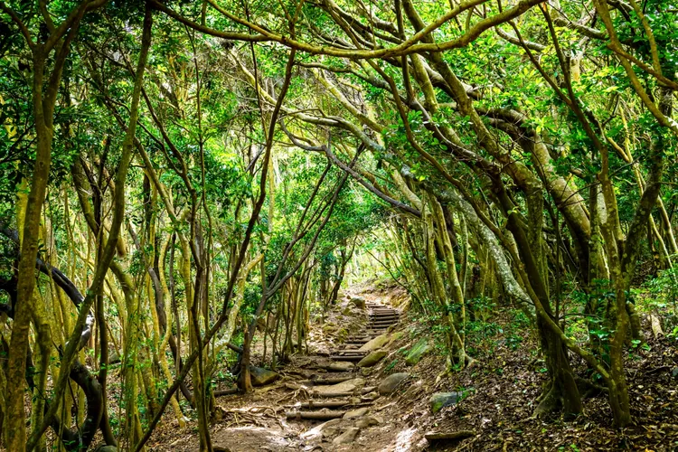 10 Lokasi Nyata Studio Ghibli di Jepang yang Wajib Dikunjungi Pecinta Ghibli